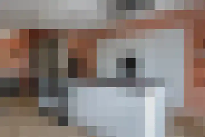 Veluwelaan 9 Wezep thumbnail 12