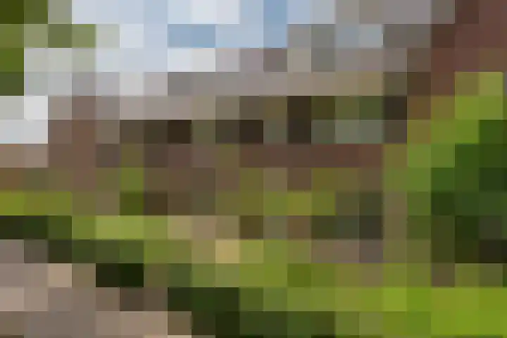 Veluwelaan 9 Wezep foto 2