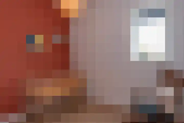 Veluwelaan 9 Wezep thumbnail 23