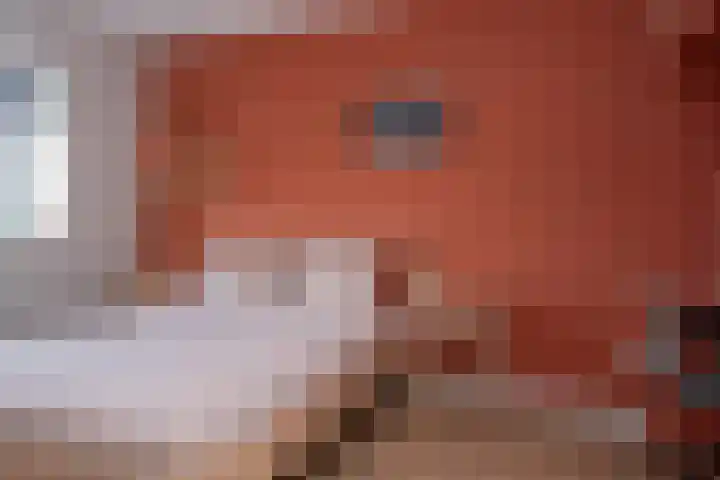 Veluwelaan 9 Wezep thumbnail 25