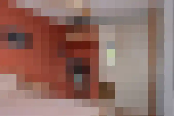 Veluwelaan 9 Wezep thumbnail 26