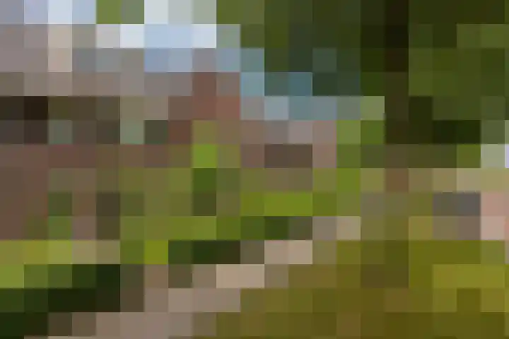 Veluwelaan 9 Wezep foto 3