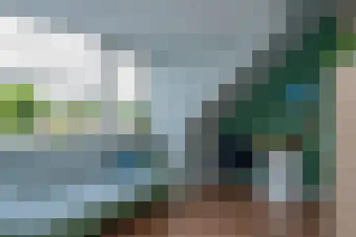 Veluwelaan 9 Wezep thumbnail 36