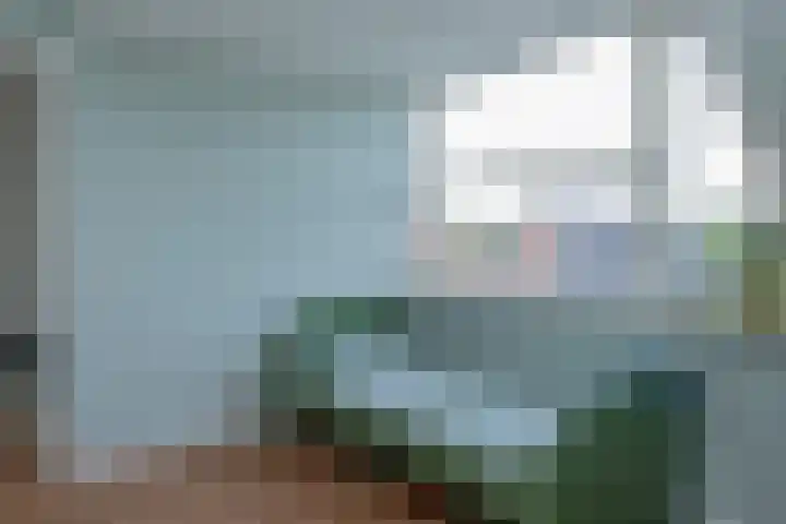 Veluwelaan 9 Wezep thumbnail 38