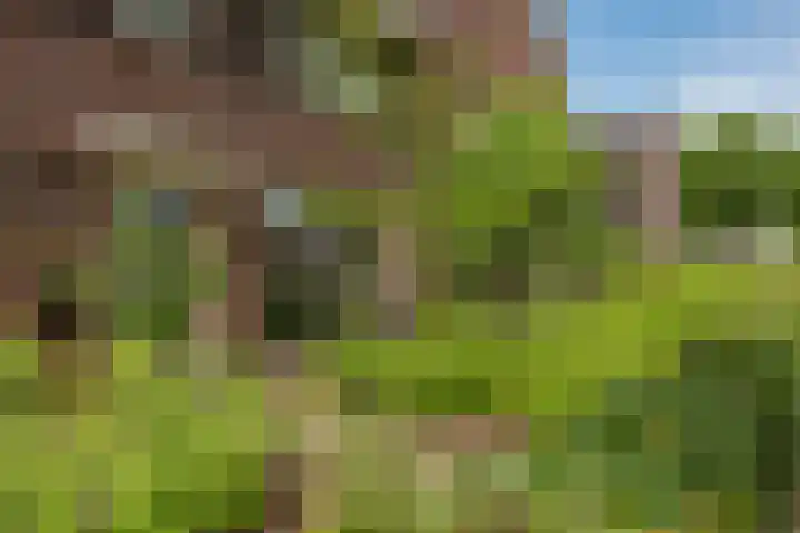 Veluwelaan 9 Wezep thumbnail 4