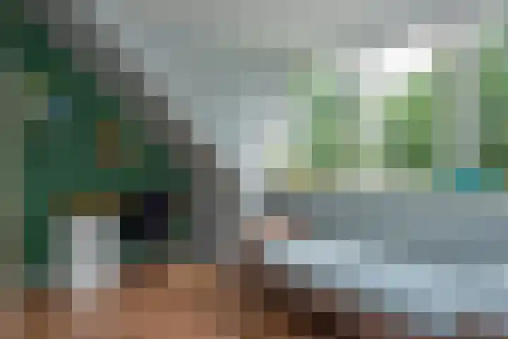 Veluwelaan 9 Wezep thumbnail 41