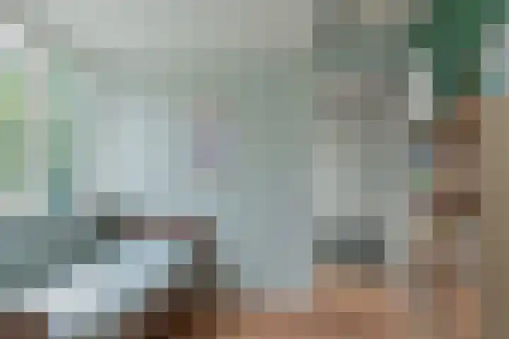Veluwelaan 9 Wezep thumbnail 44