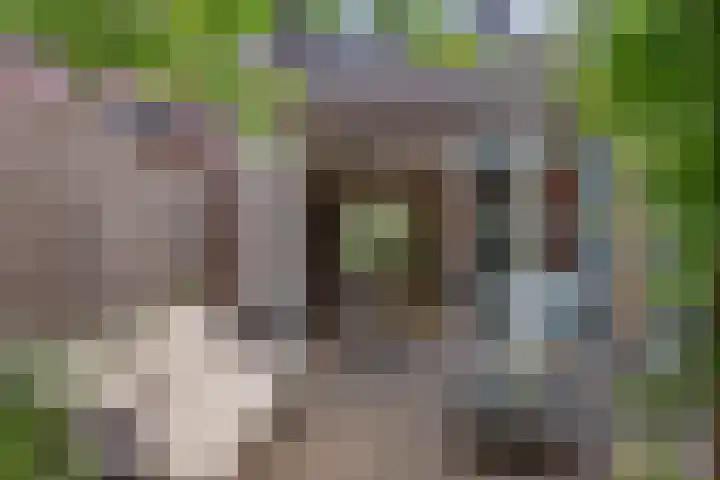 Veluwelaan 9 Wezep thumbnail 46