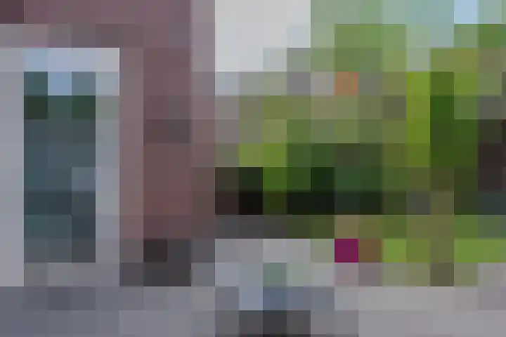 Veluwelaan 9 Wezep thumbnail 48