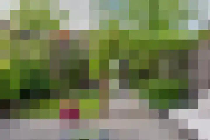 Veluwelaan 9 Wezep thumbnail 49