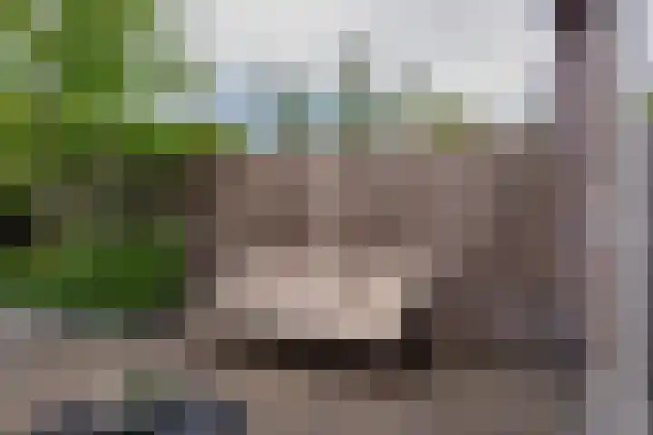 Veluwelaan 9 Wezep thumbnail 50