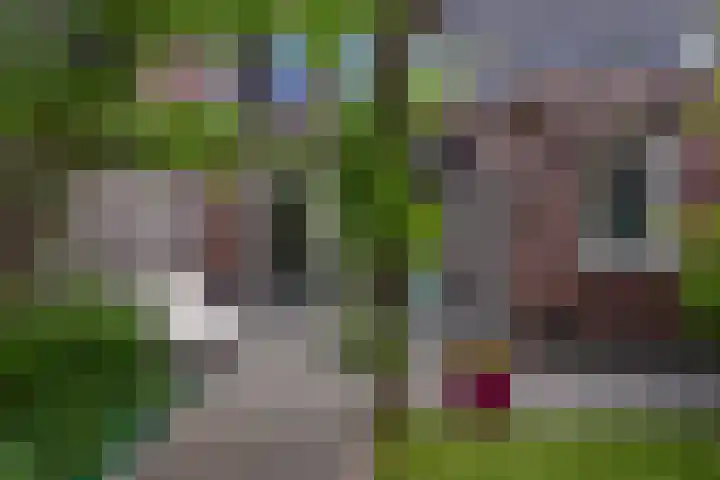 Veluwelaan 9 Wezep thumbnail 52