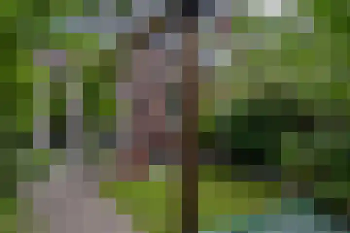 Veluwelaan 9 Wezep thumbnail 53