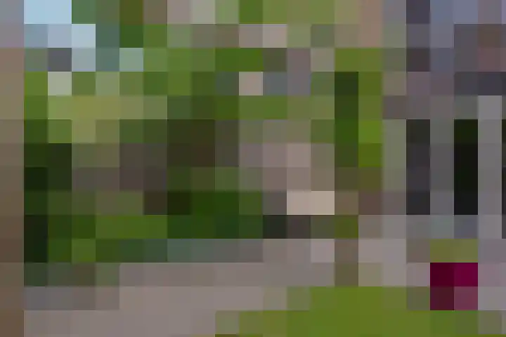 Veluwelaan 9 Wezep thumbnail 54
