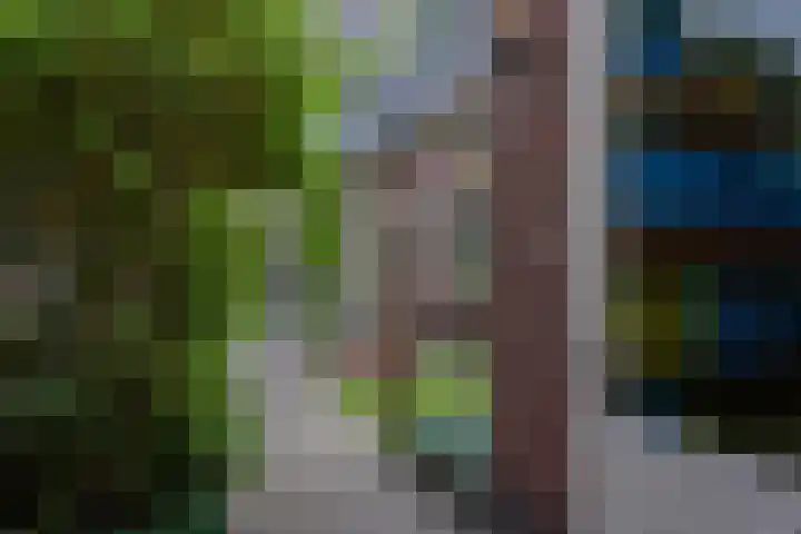 Veluwelaan 9 Wezep thumbnail 55