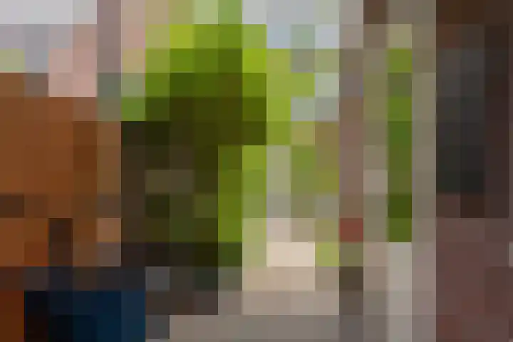 Veluwelaan 9 Wezep thumbnail 56