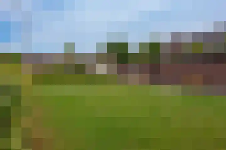 Veluwelaan 9 Wezep thumbnail 58