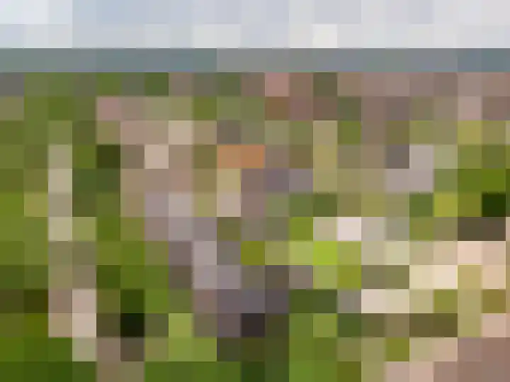 Veluwelaan 9 Wezep thumbnail 62