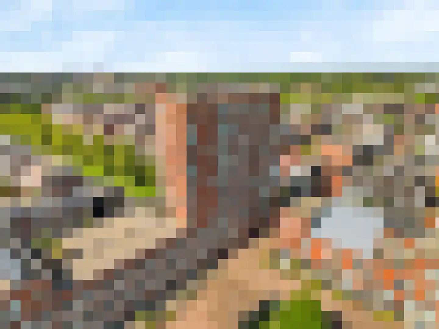 Veluwemeer 108 Woerden thumbnail 42
