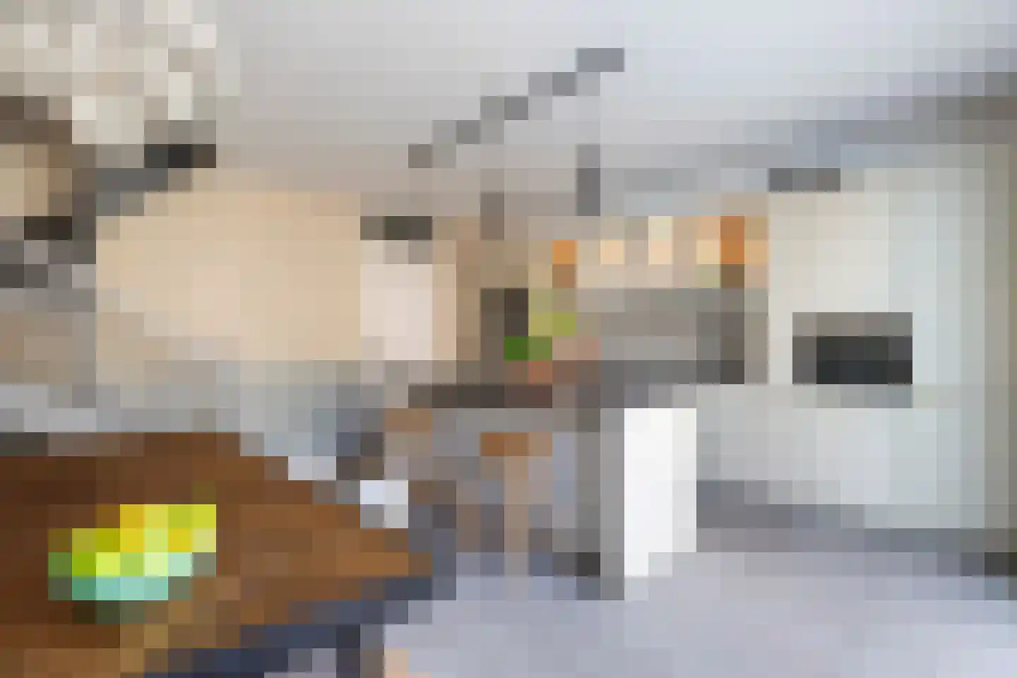 Veluwemeer 132 Woerden thumbnail 25