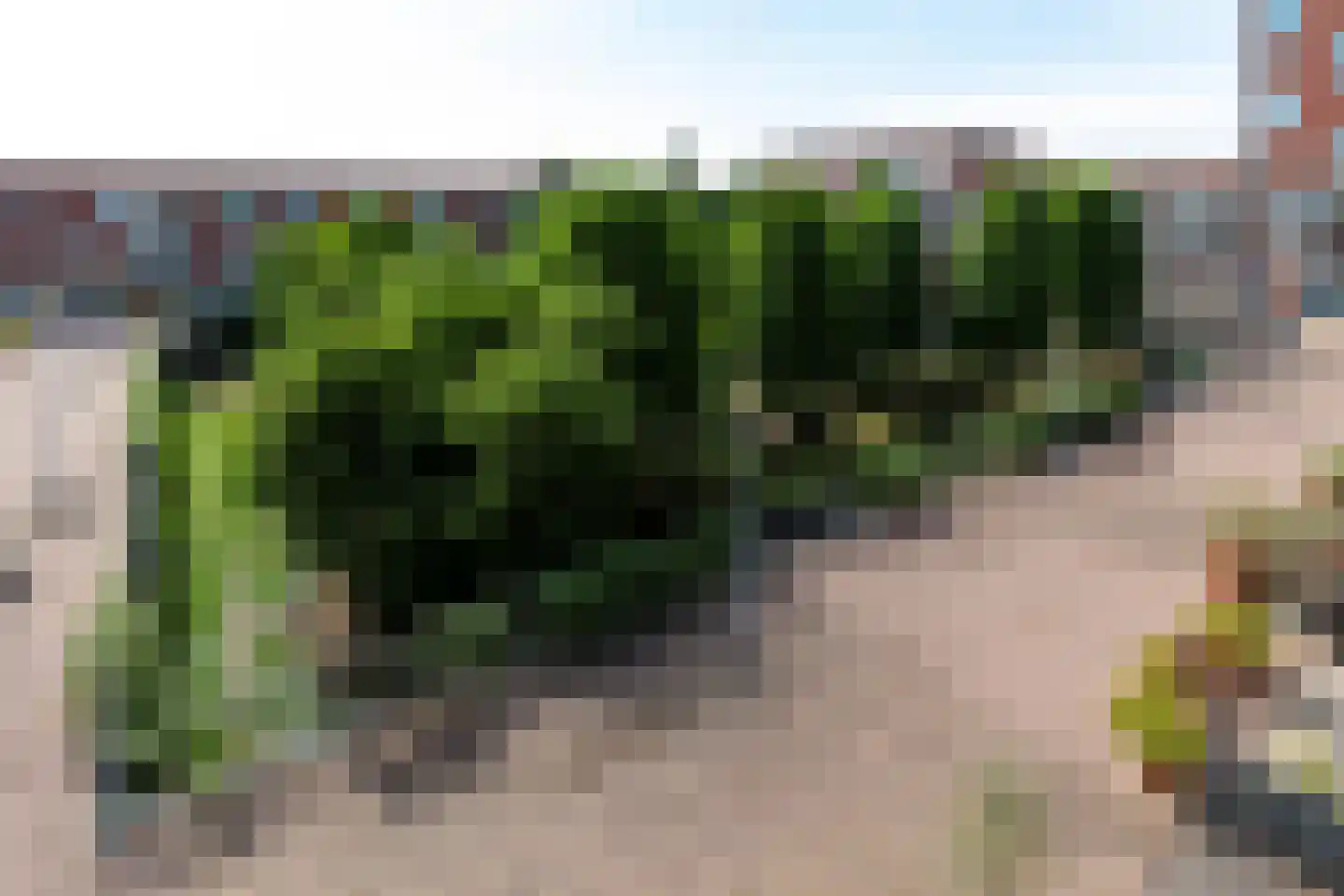 Veluwemeer 132 Woerden thumbnail 59