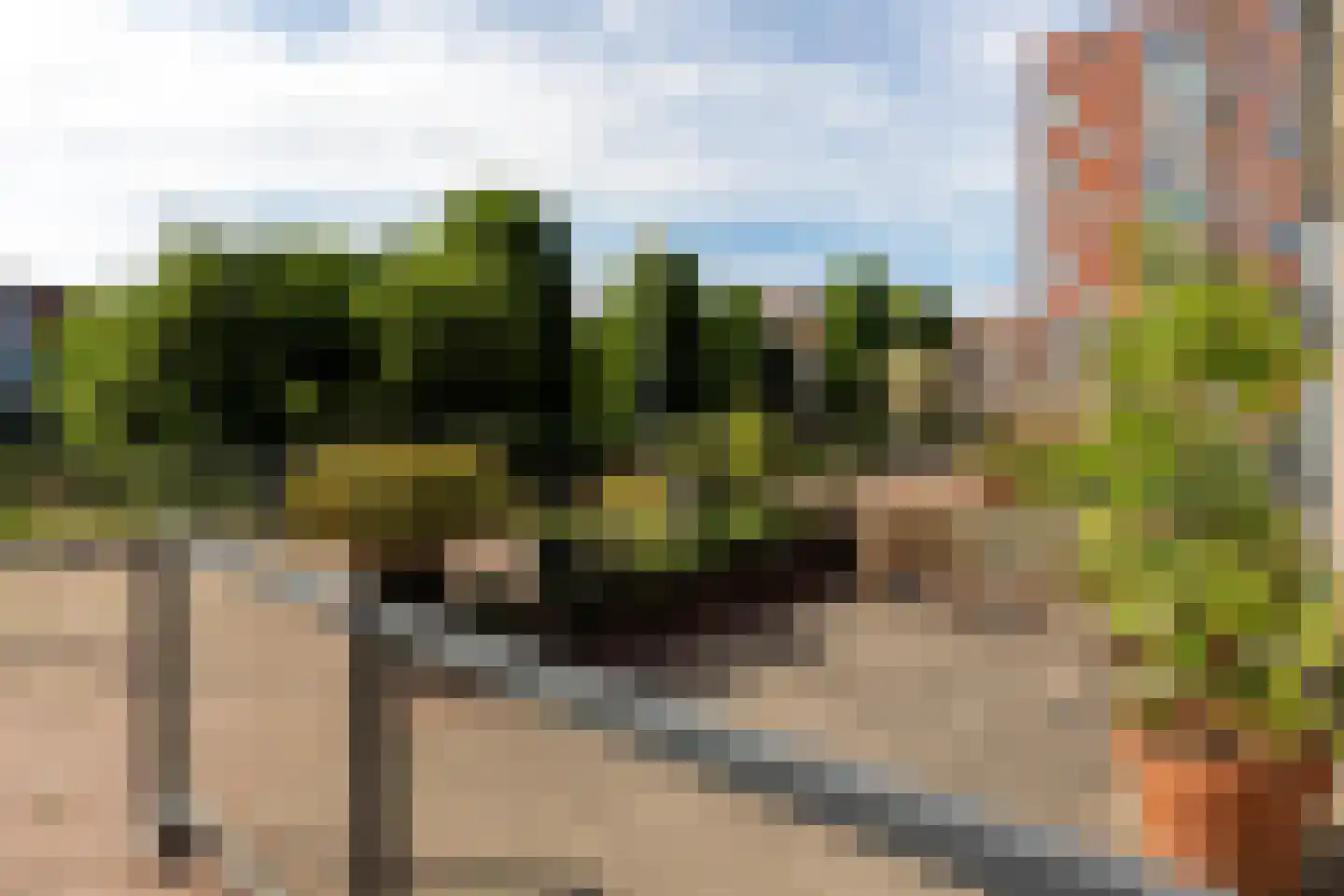 Veluwemeer 132 Woerden thumbnail 61