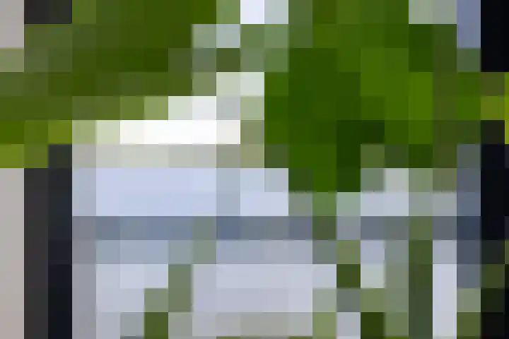 Veluwemeer 134 Woerden thumbnail 20