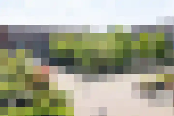Veluwemeer 134 Woerden thumbnail 67