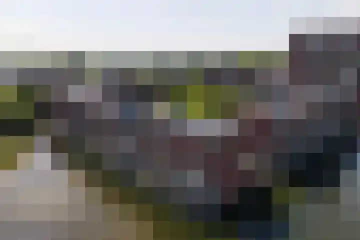 Veluwemeer 134 Woerden thumbnail 71