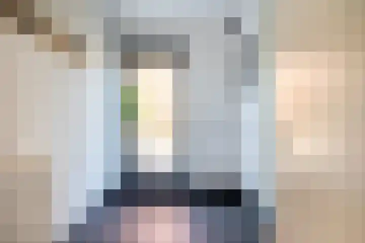 Veluwemeer 134 Woerden thumbnail 8