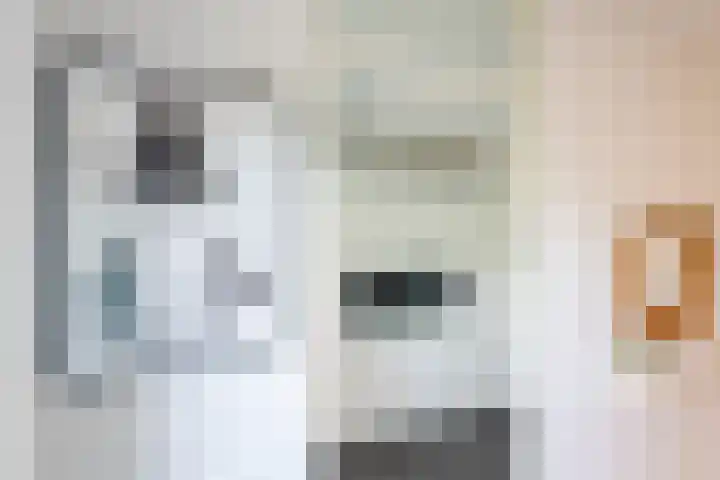 Veluwemeer 134 Woerden thumbnail 9