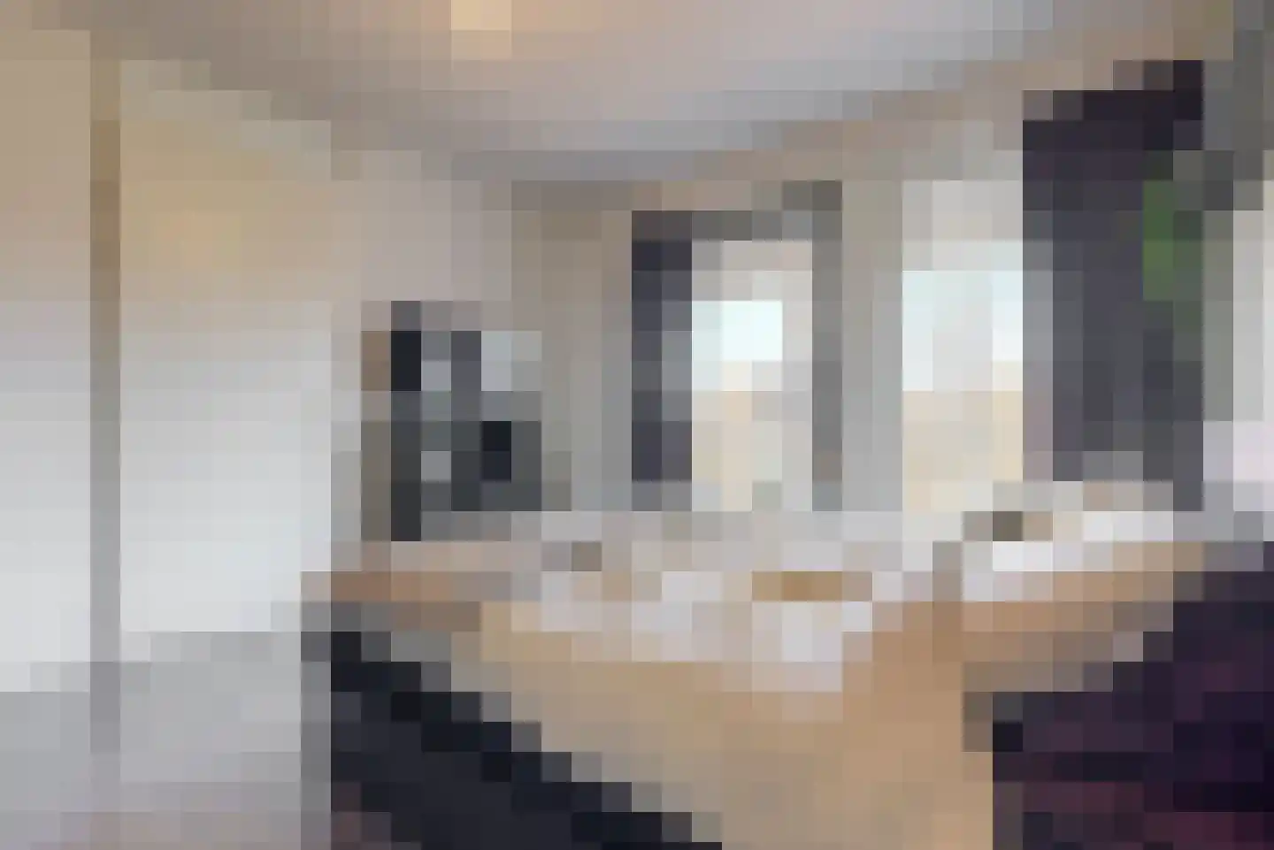 Veluwemeer 16 Woerden thumbnail 12