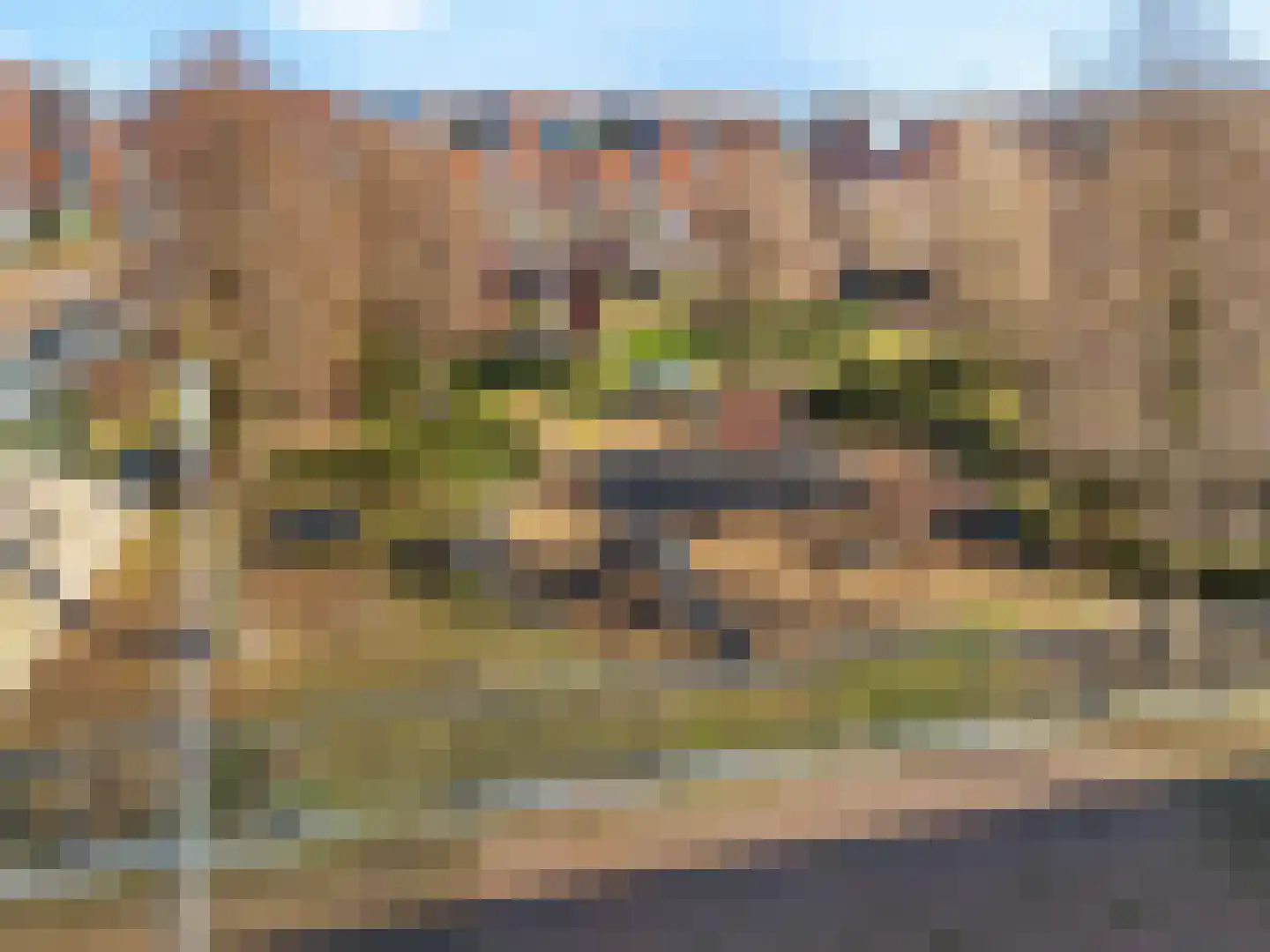 Veluwemeer 16 Woerden thumbnail 24