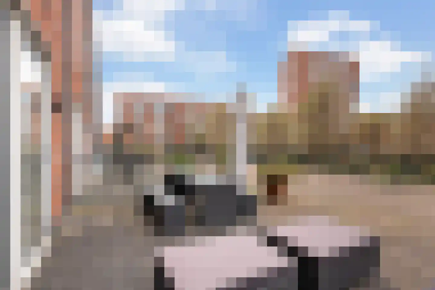 Veluwemeer 166 Woerden thumbnail 34