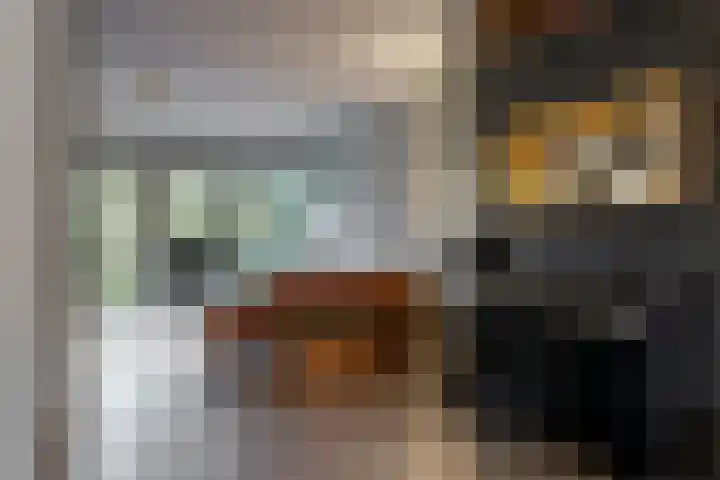 Veluwemeer 172 Woerden thumbnail 12