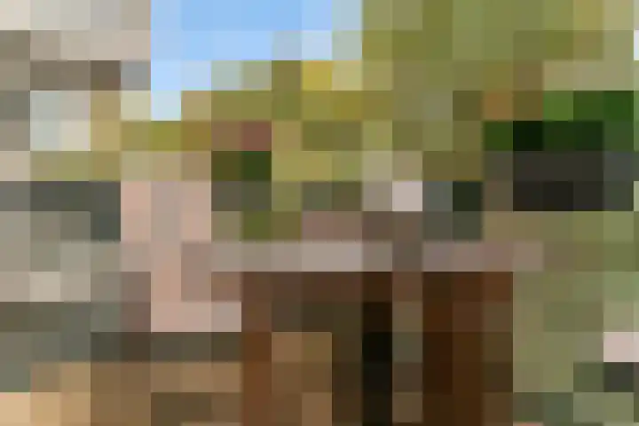 Veluwemeer 172 Woerden thumbnail 19