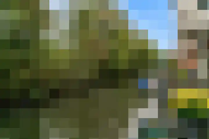 Veluwemeer 172 Woerden thumbnail 20