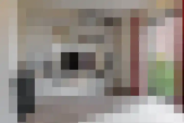 Veluwemeer 172 Woerden thumbnail 33