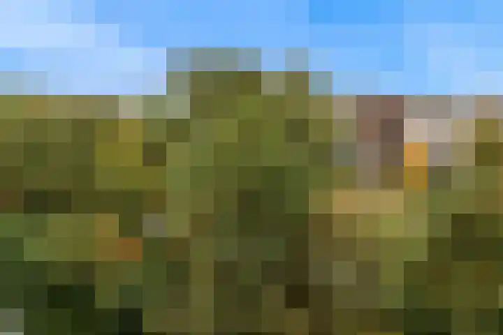 Veluwemeer 172 Woerden thumbnail 38