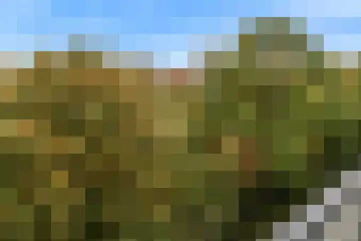 Veluwemeer 172 Woerden thumbnail 39
