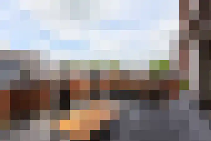 Veluwemeer 211 Woerden thumbnail 11