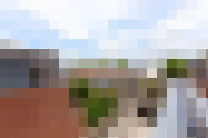 Veluwemeer 211 Woerden thumbnail 13