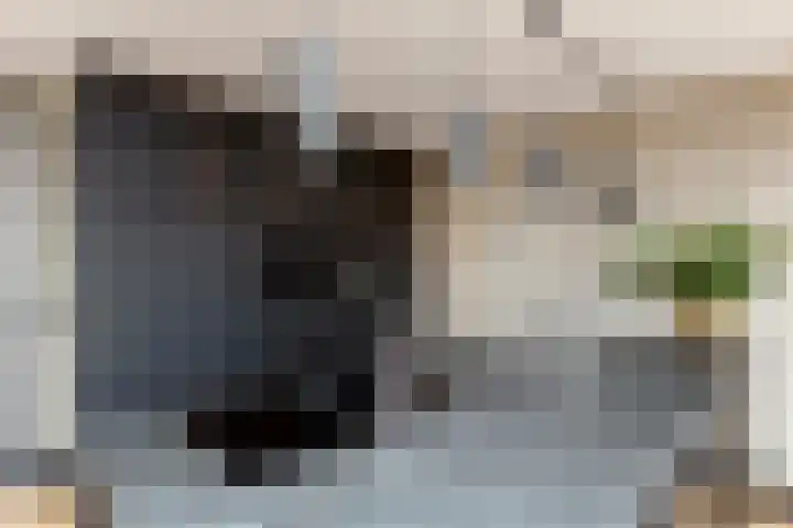 Veluwemeer 211 Woerden thumbnail 7