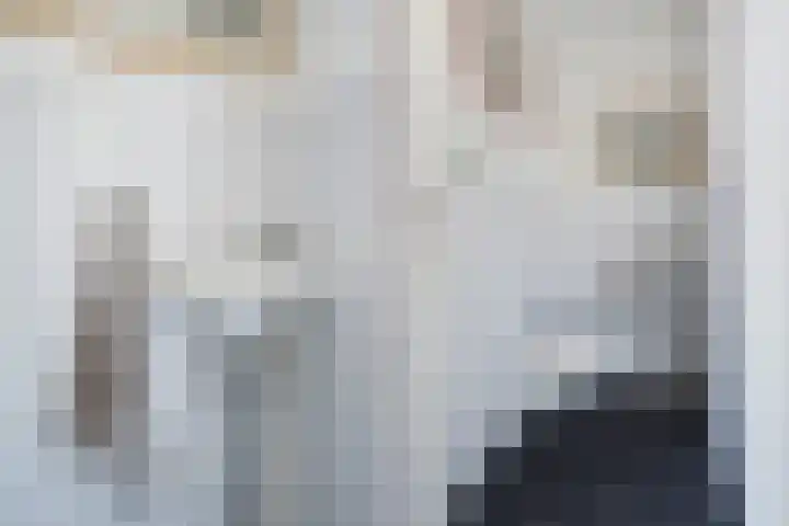 Veluwemeer 216 Woerden thumbnail 12