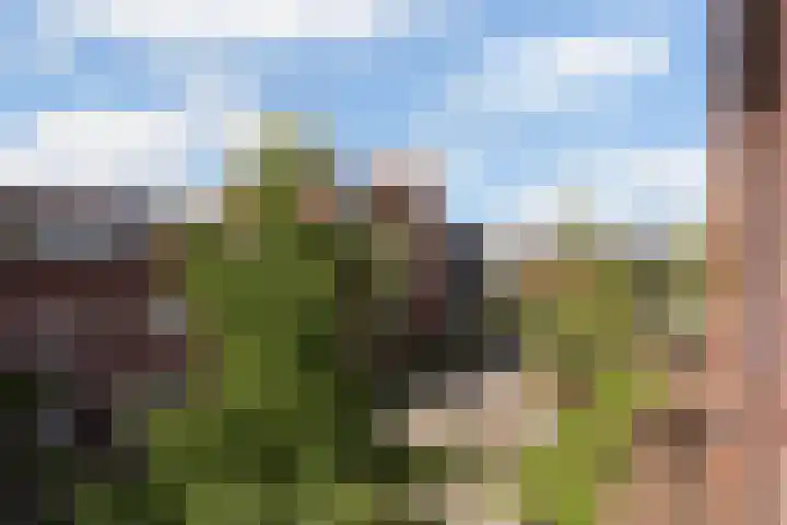 Veluwemeer 216 Woerden thumbnail 29