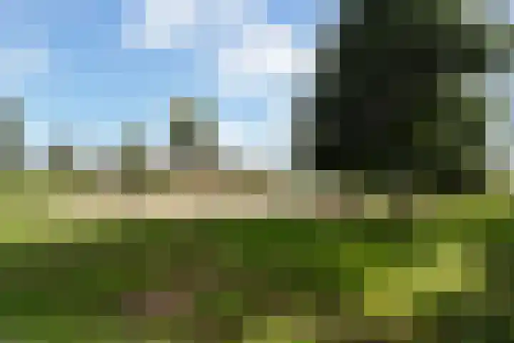 Veluwemeer 216 Woerden thumbnail 59
