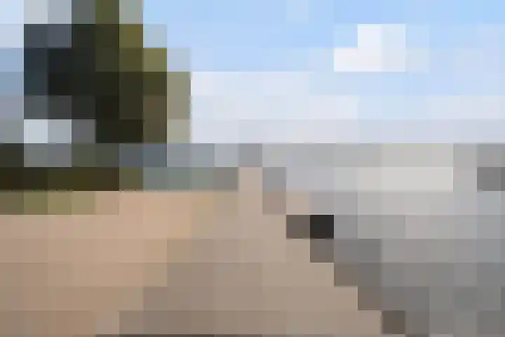 Veluwemeer 216 Woerden thumbnail 60