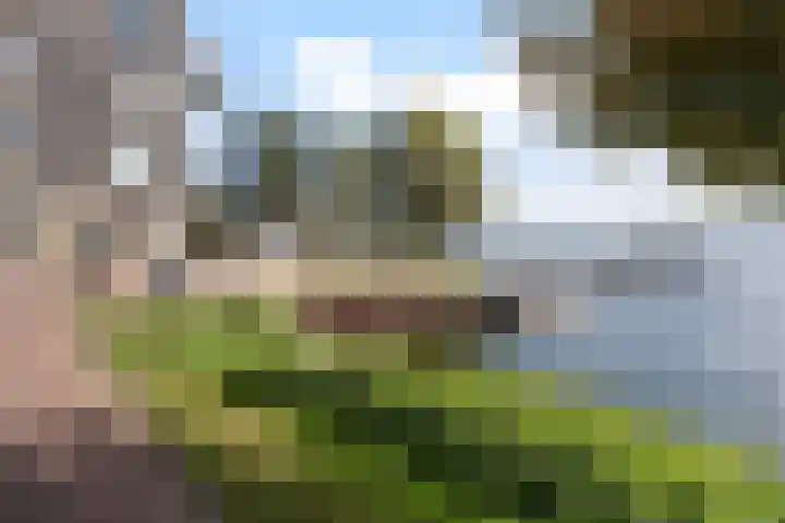 Veluwemeer 216 Woerden thumbnail 61