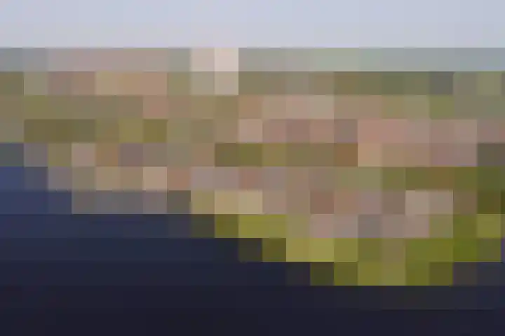 Veluwemeer 216 Woerden thumbnail 62