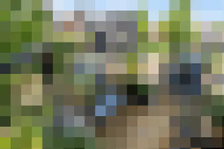 Veluwemeer 22 Woerden thumbnail 13